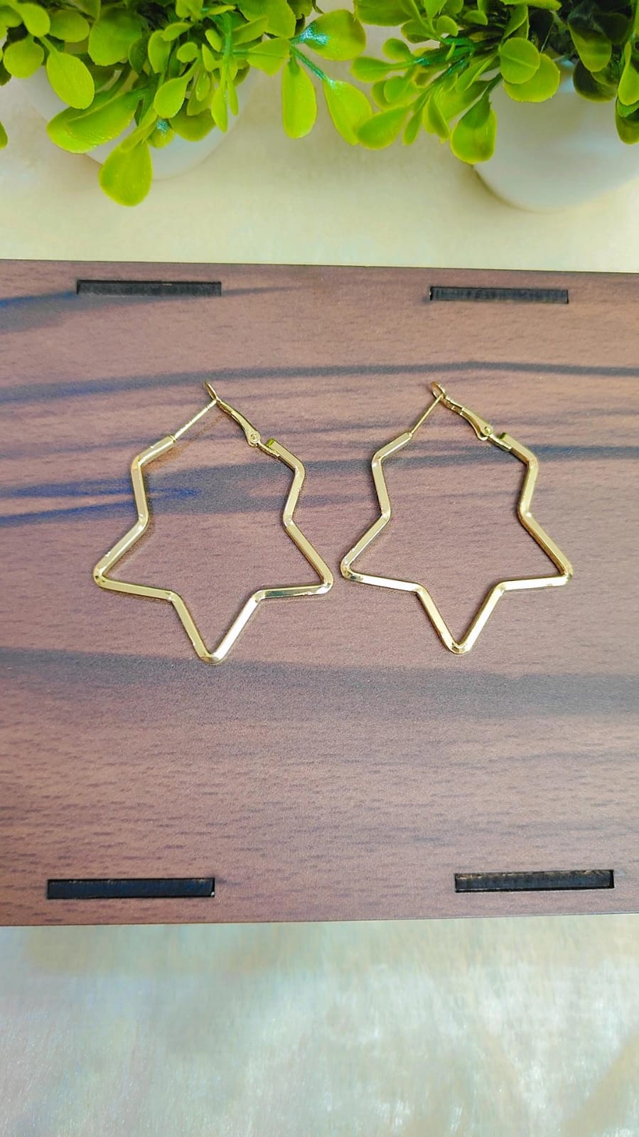 Golden Hoop Earrings