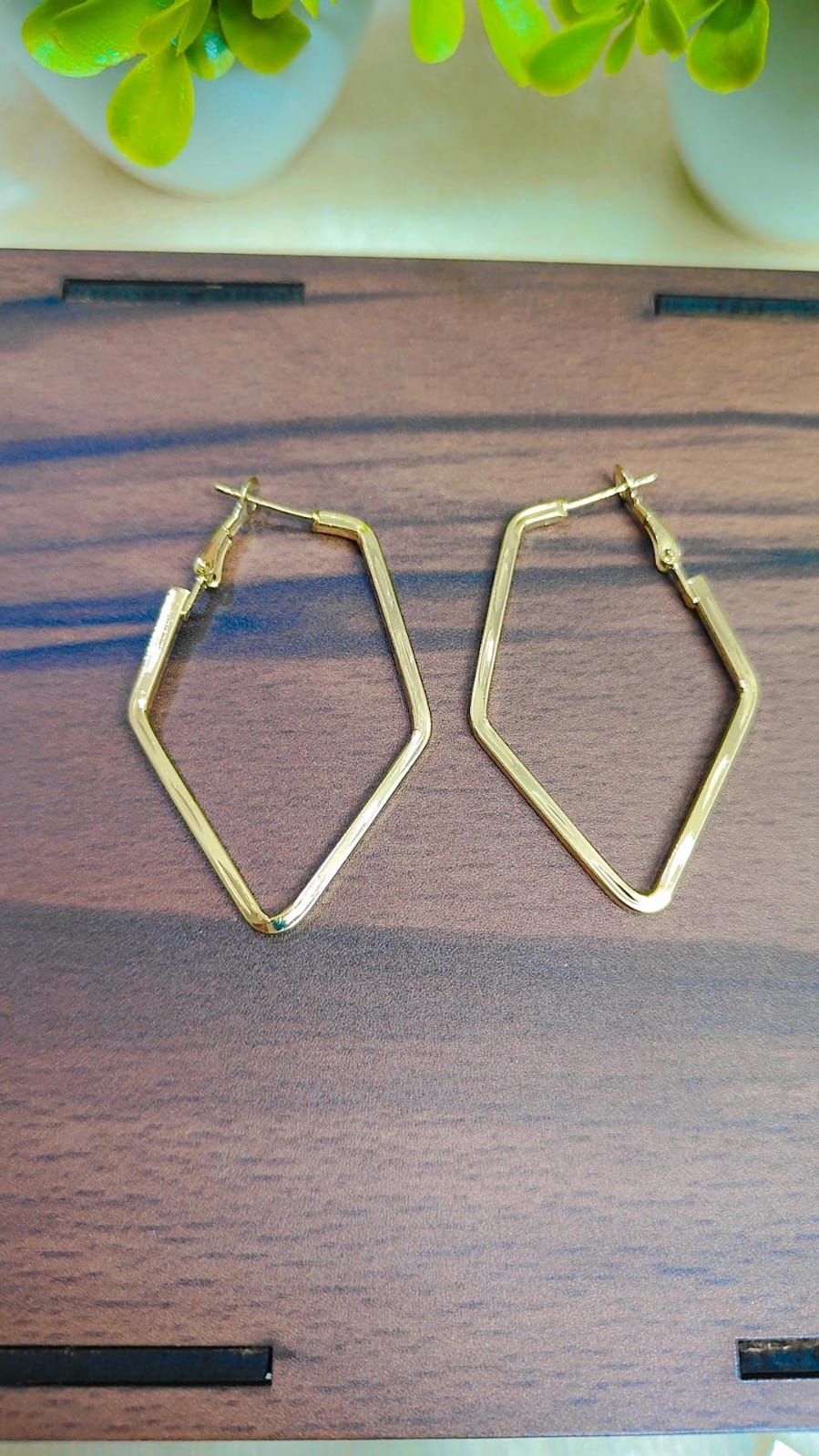 Golden Hoop Earrings